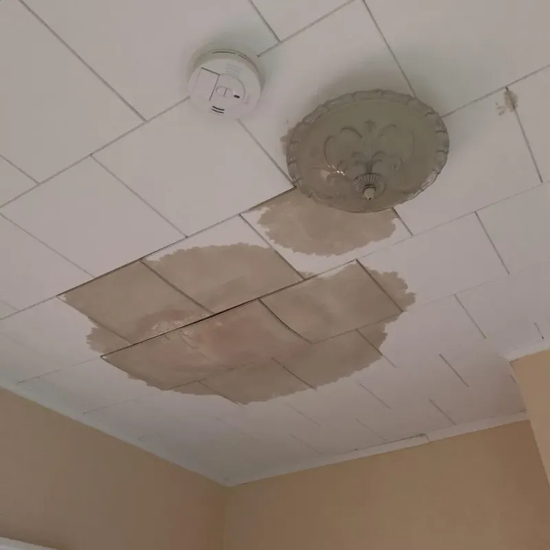 Ceiling Water Damage Repair in Lake Koshkonong, WI