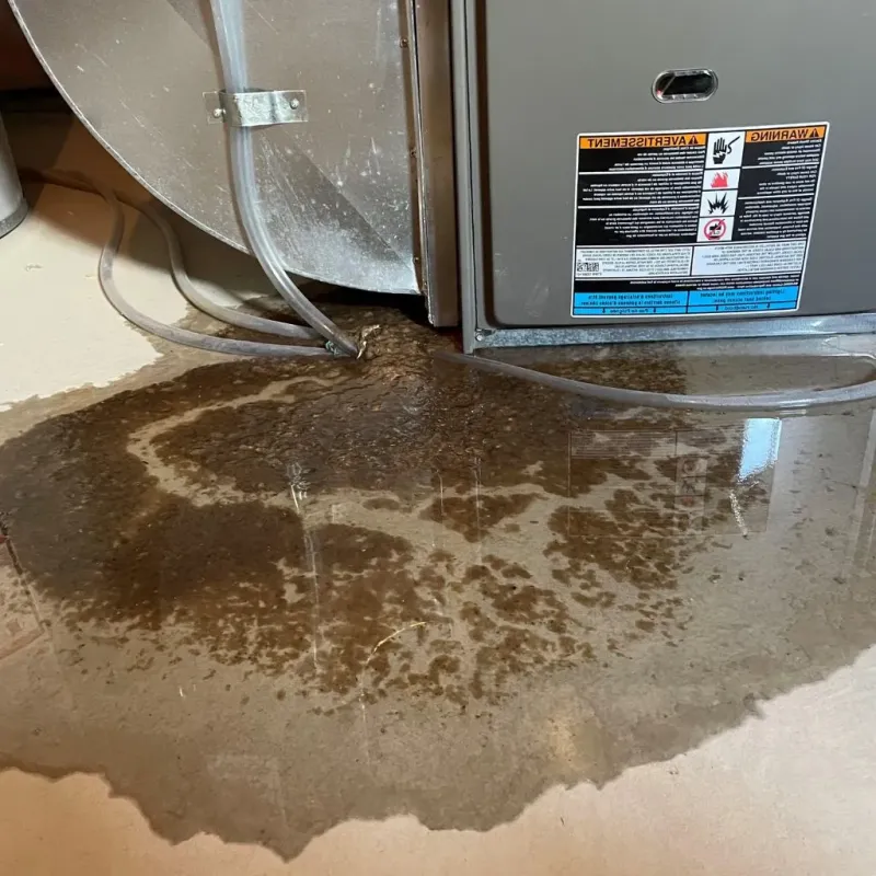 Pipe Burst and Leak Restoration in Lake Koshkonong, WI